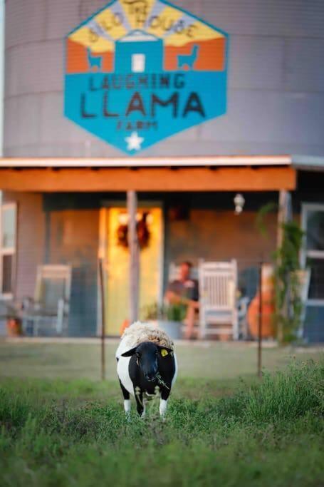 Silo House At Laughing Llama Farm Troy Dış mekan fotoğraf